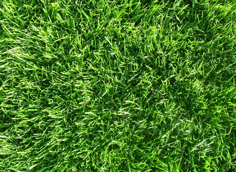 grass, background, texture