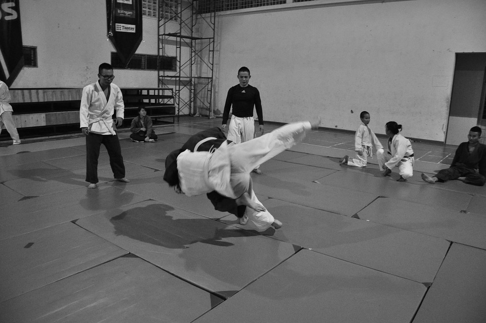 judo, martial arts, combat