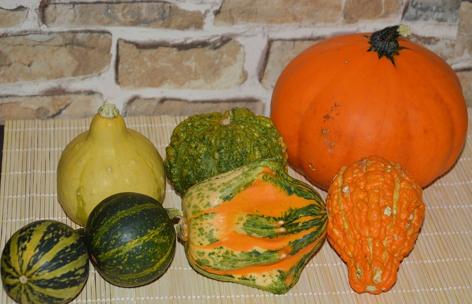 pumpkins, decorative squashes, decoration