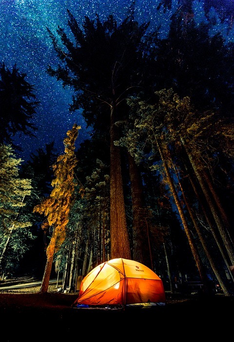 camping, dark, forest