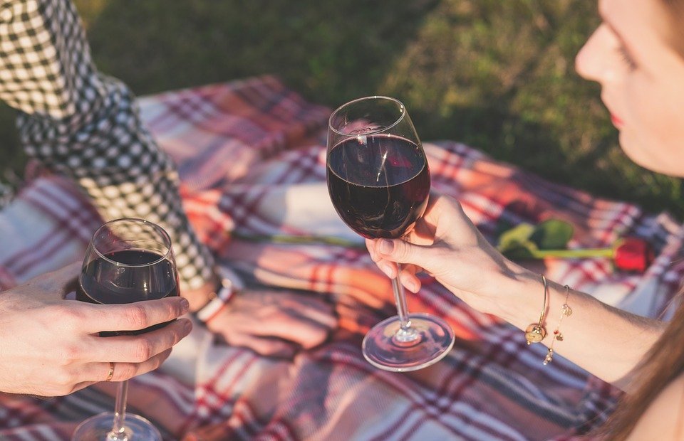 picnic, wine, cheers