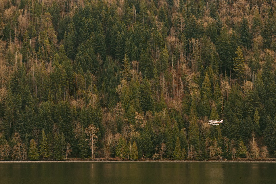 sea plane, lake, forest