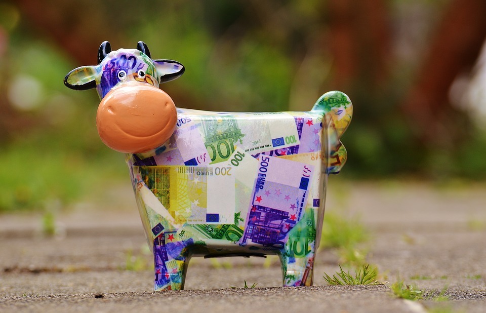 cow, save, money