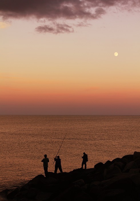 fishing, sunset, water