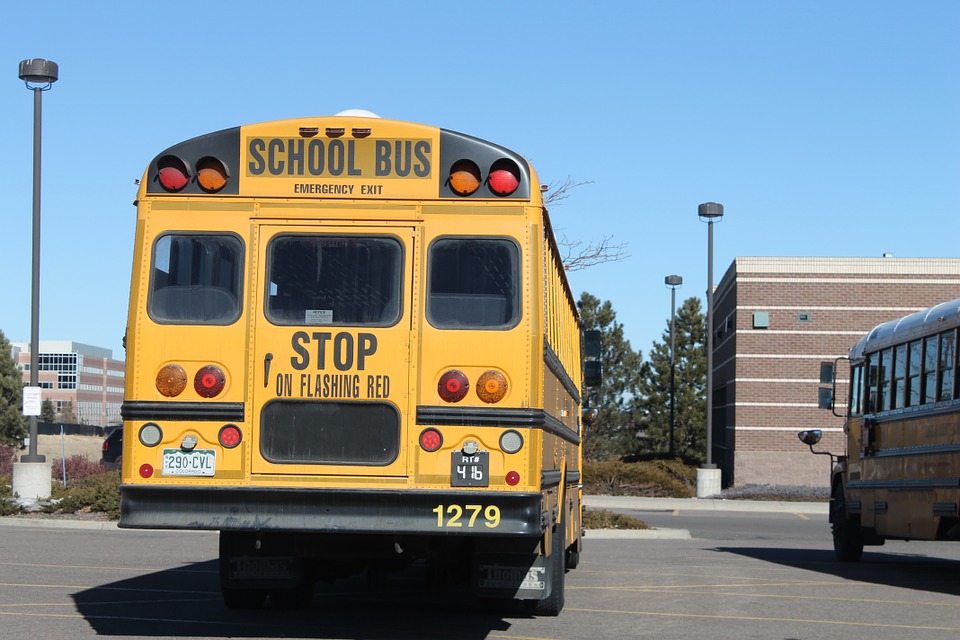 school, bus, transportation
