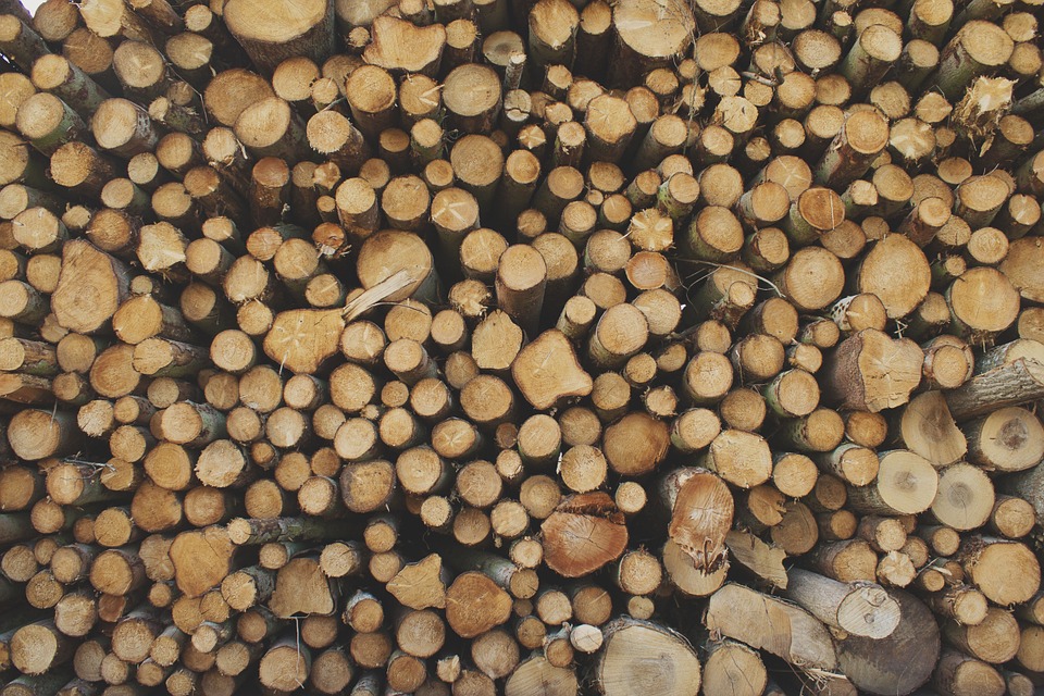 logs, lumber, wood