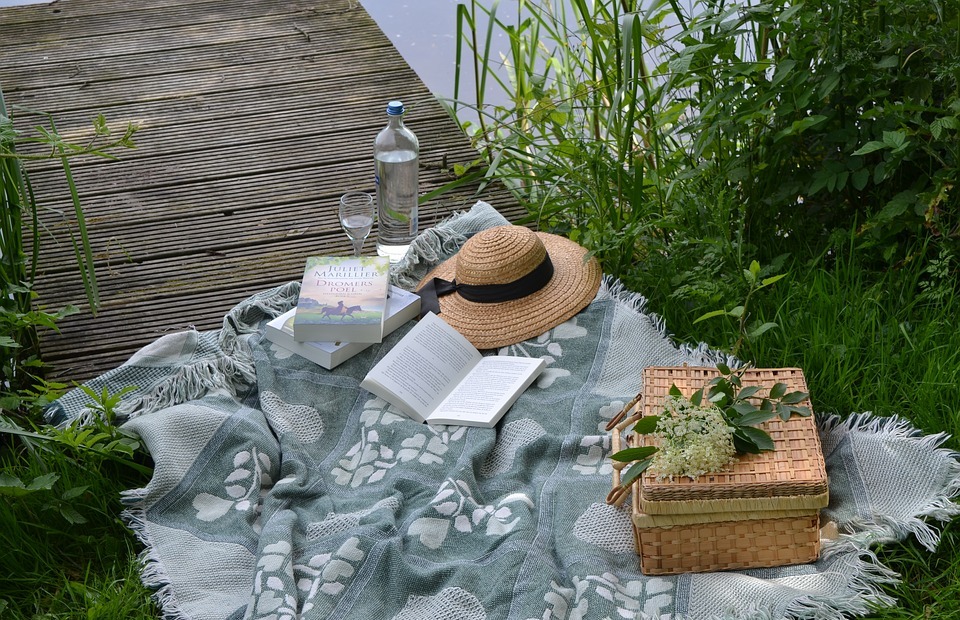 picnic, book, park