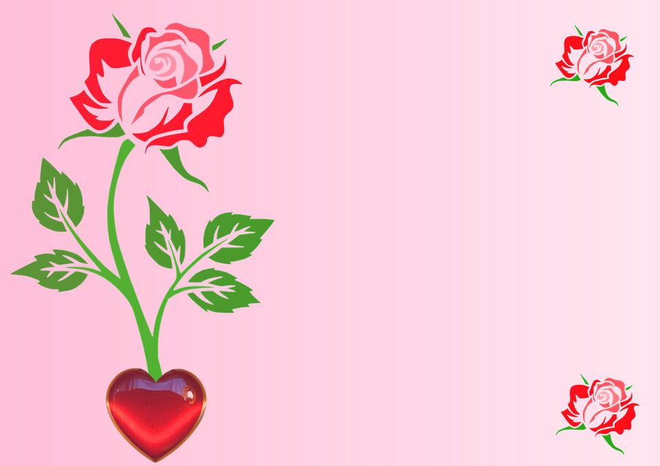 flower, rose, heart