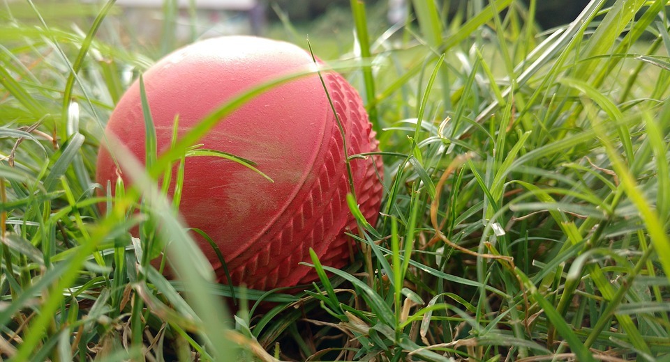 cricket, ball, grass