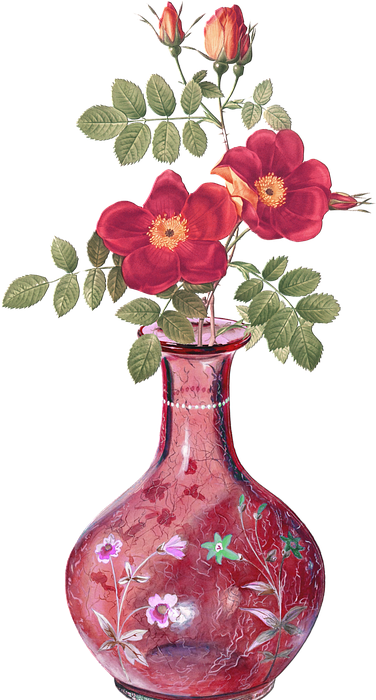 flowers, roses, vase