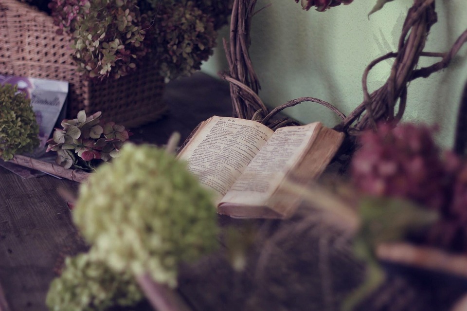 book, flowers, life