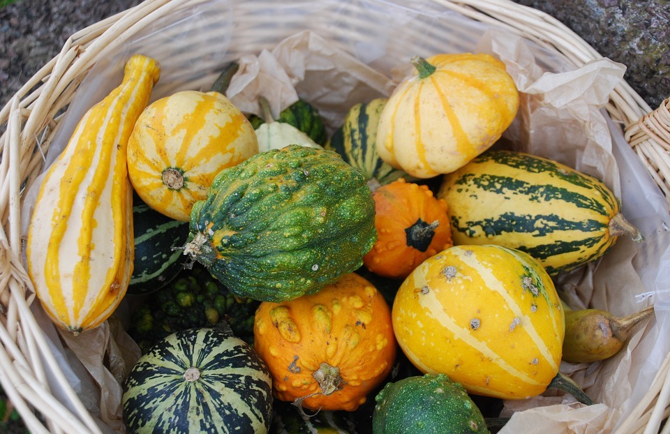 pumpkins, halloween, garden ornament