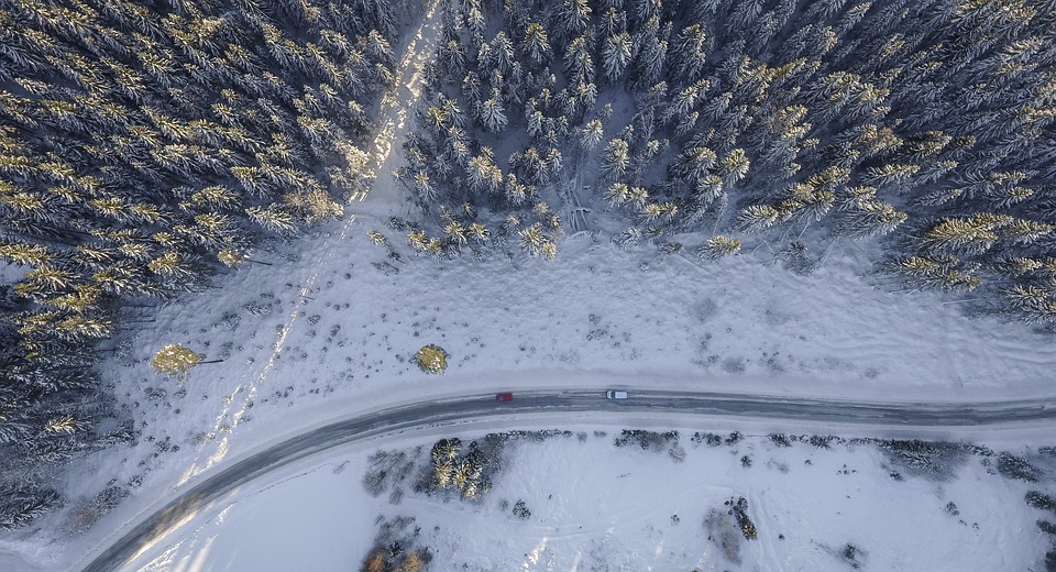 snowy, trees, road
