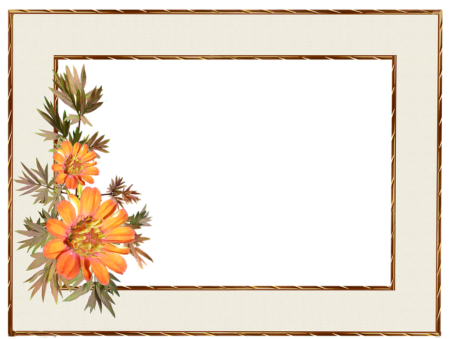 frame, floral, gold border