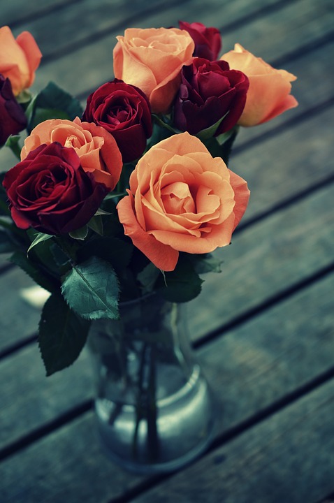 roses, vintage, flower