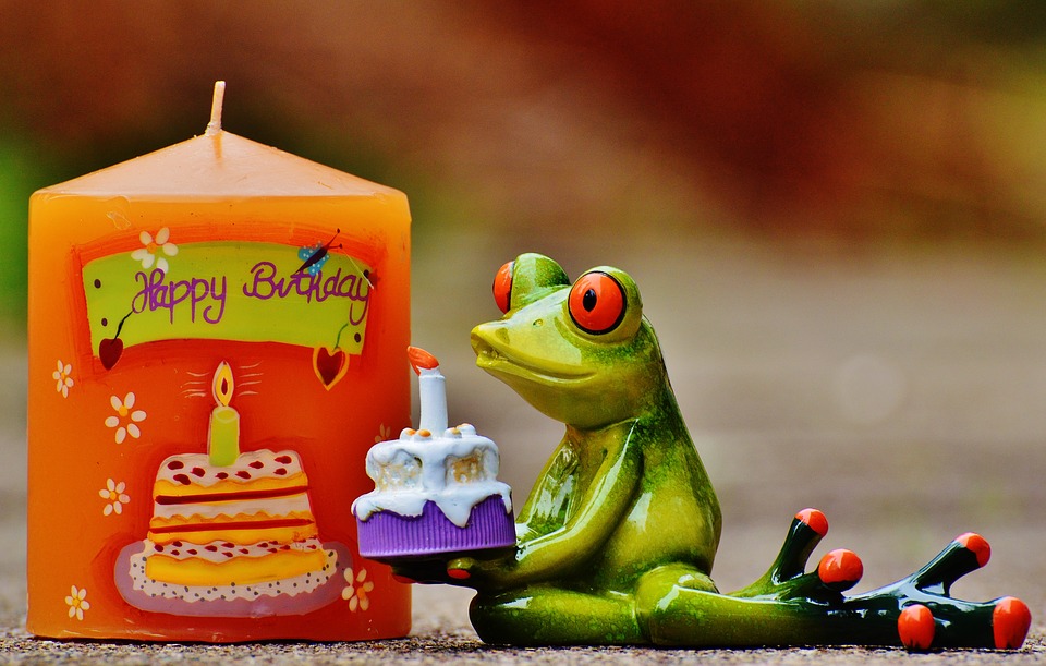 happy birthday, birthday, frog