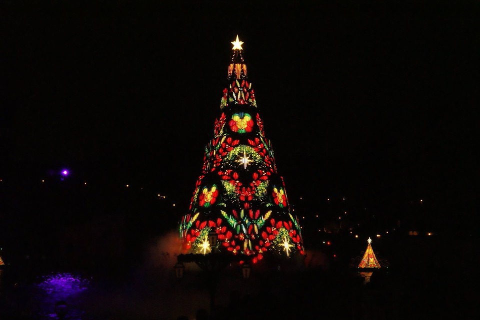 christmas, tree, light up