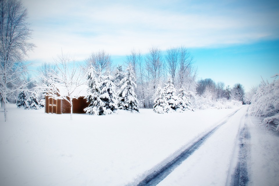 road, snowy road, winter