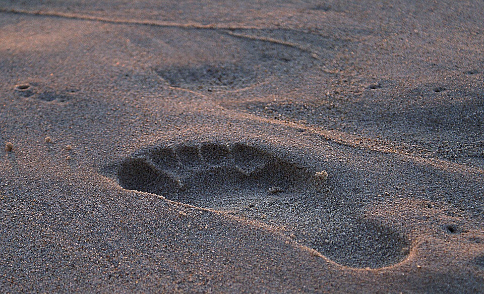 footprint, footprint in the sand, wet sand