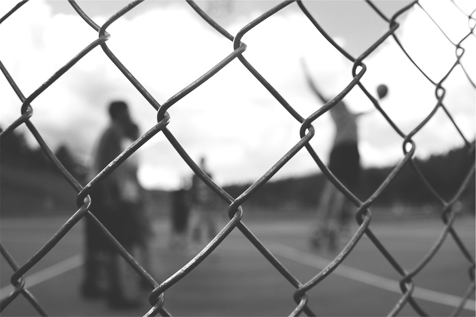 chainlink, fence, basketball