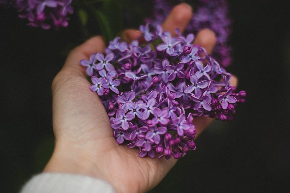 hand, flowers, violet