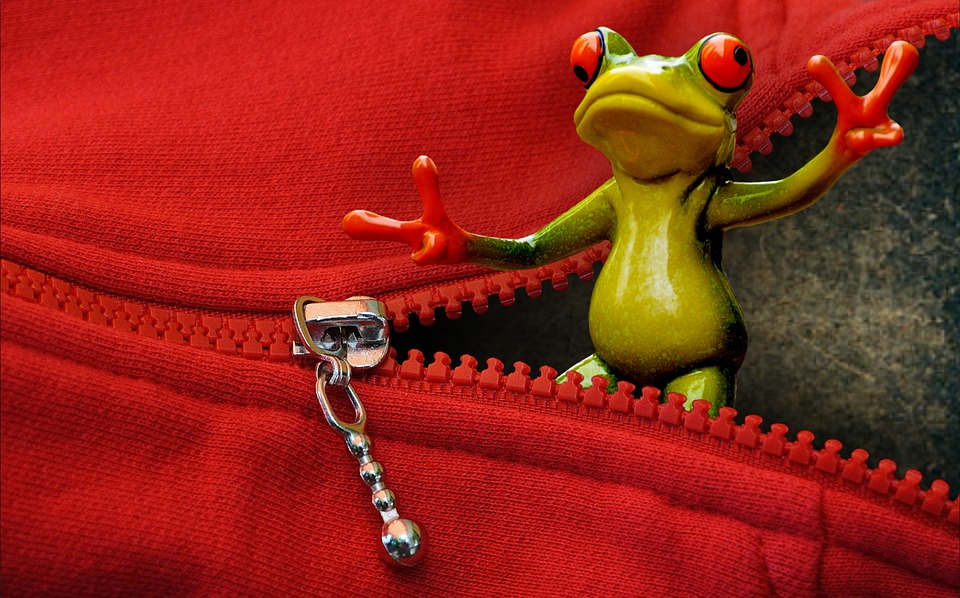 zip, open, frog