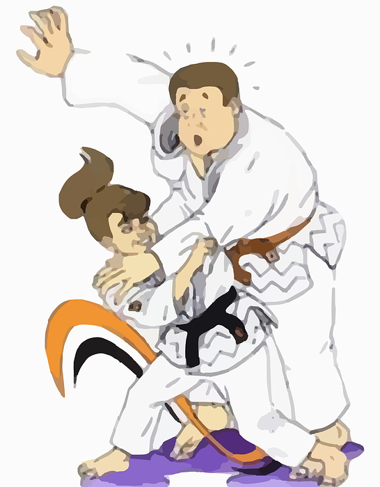 judo, martial arts, sports