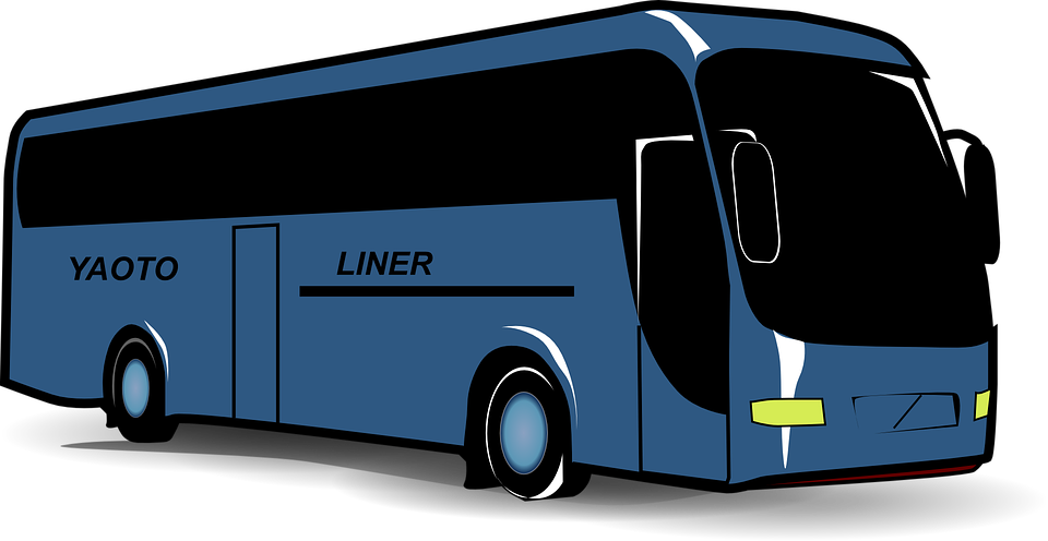 bus, public transport, transport