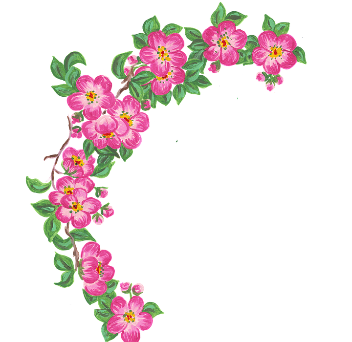 flower, border, cherry blossom