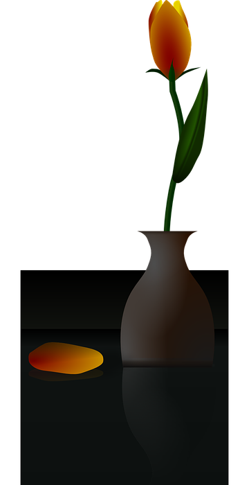 flower vase, tulip, yellow