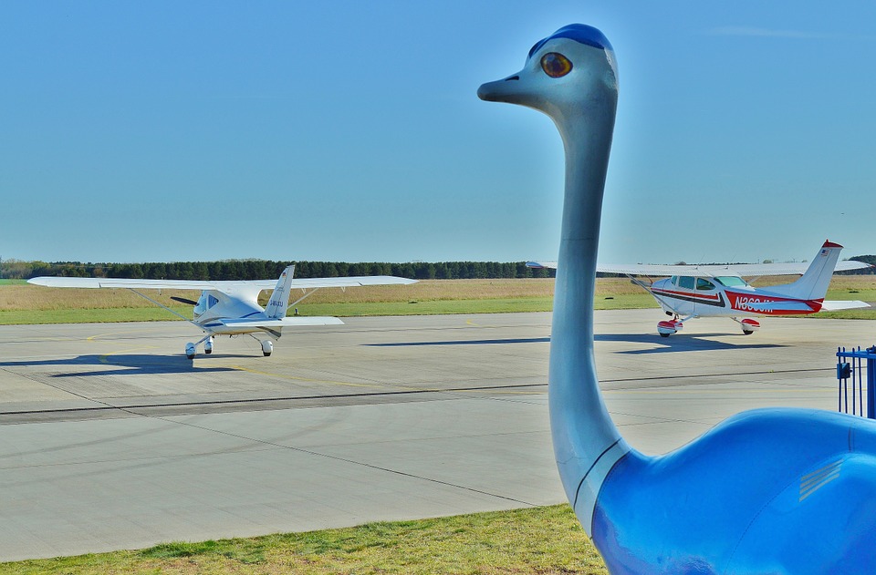 airport, sport-piloting aircraft, mascot
