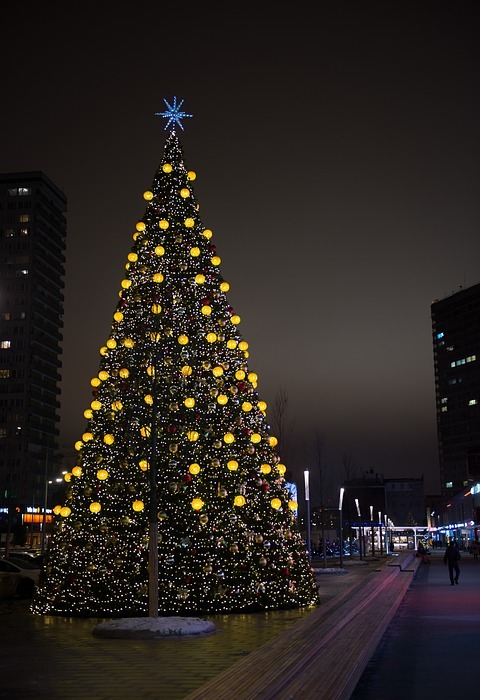 new year's eve, holiday, christmas tree