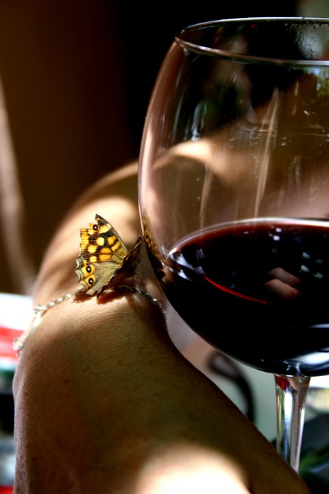 wine, butterfly, glass