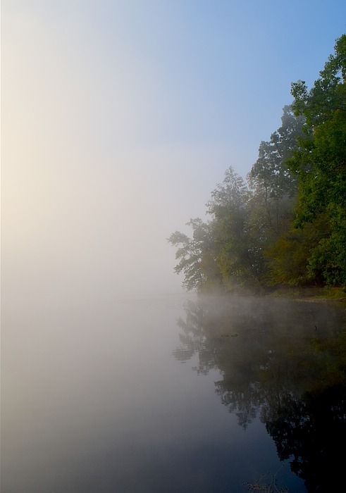 lake, fog, morning