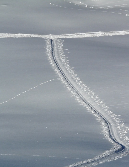 trace, trail, cross country skiing
