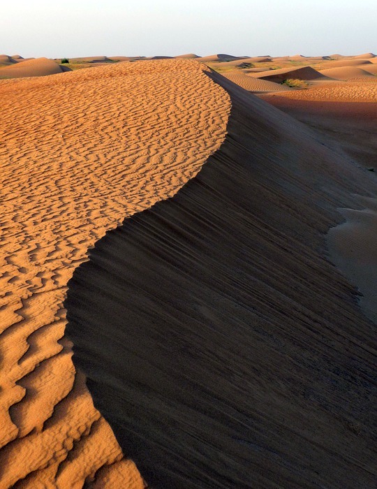 desert, dune, sand