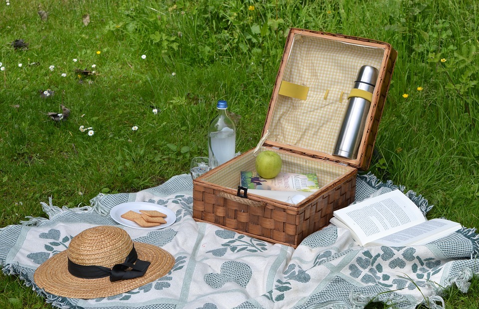 picnic, book, summer