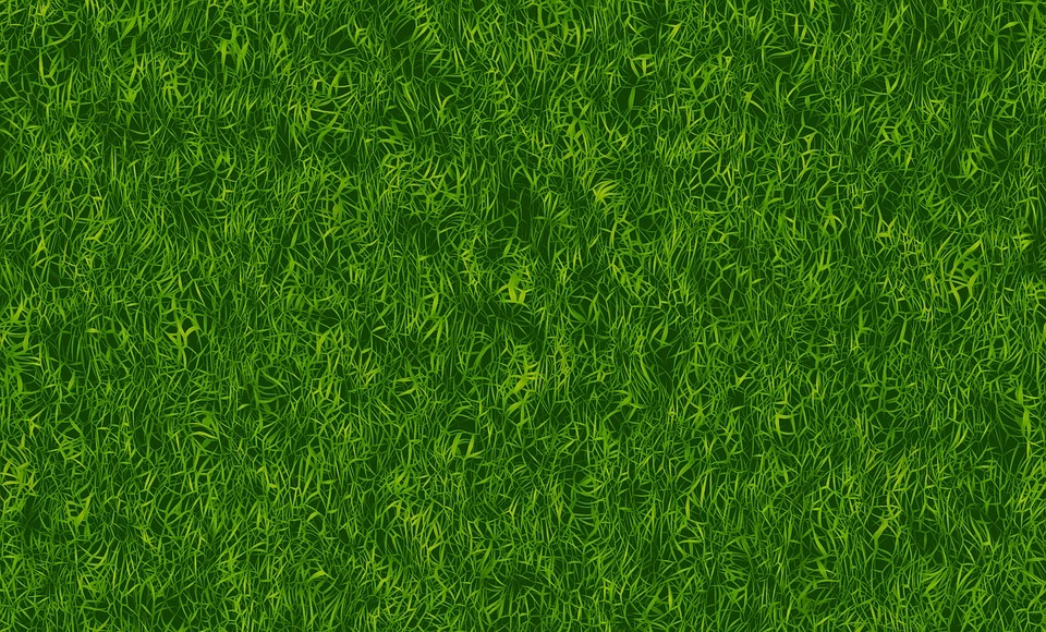 grass, green, texture
