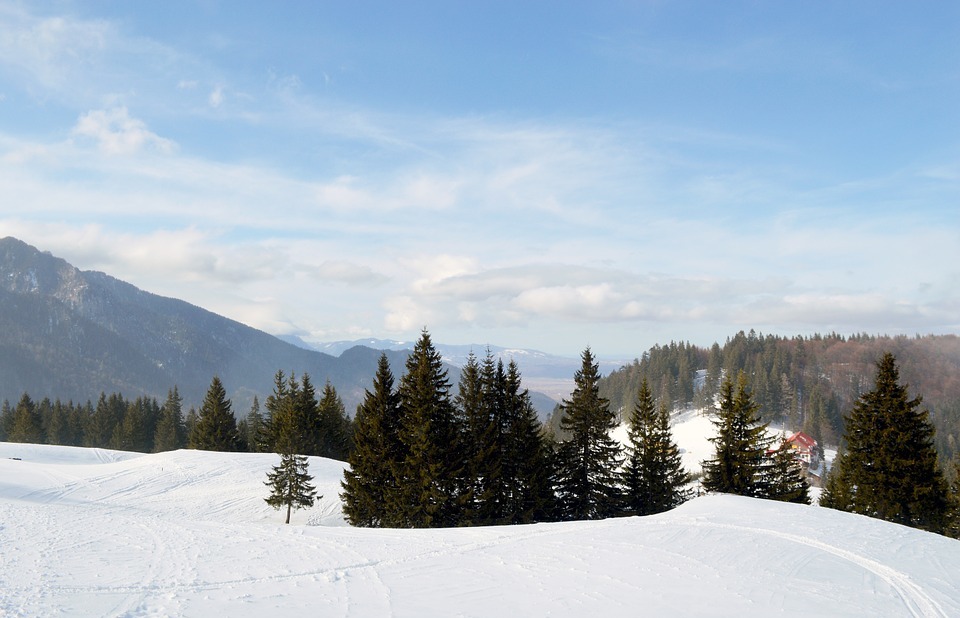 winter, scene, mountain