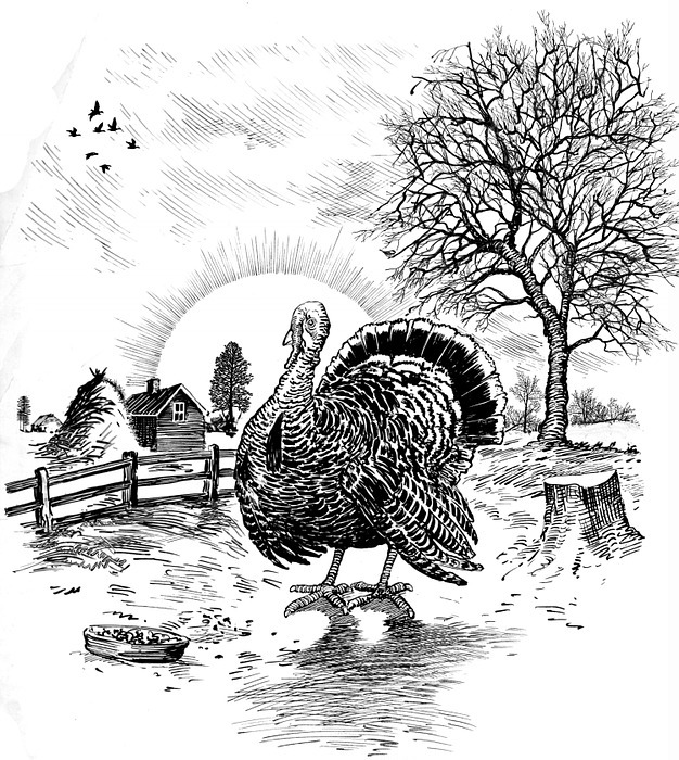 thanksgiving, turkey, black