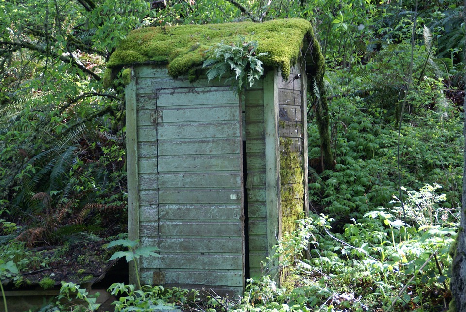 outhouse, shed, building