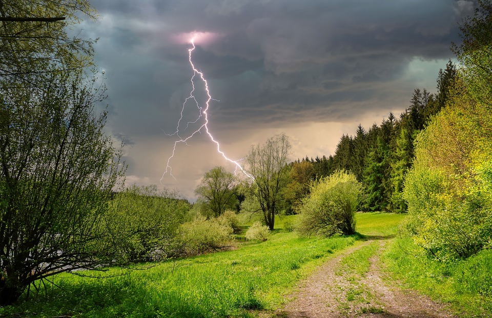 thunderstorm, trees, path