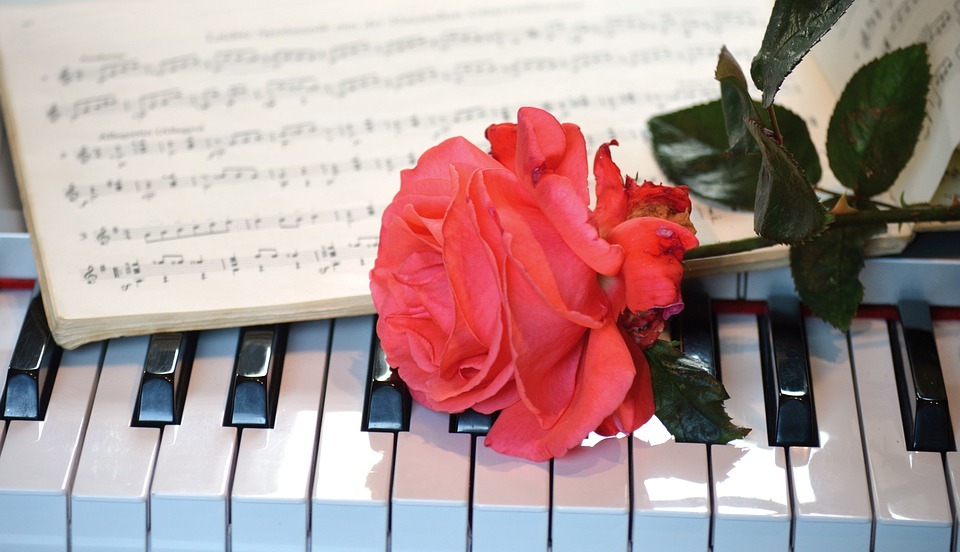 happy mothers day, piano, rose
