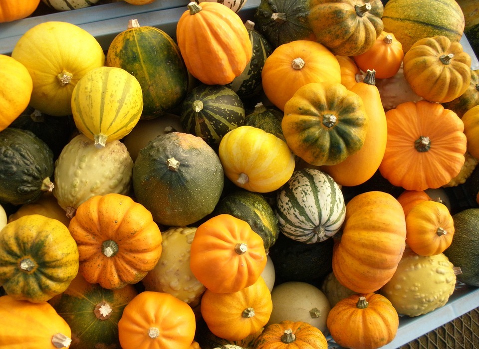pumpkin, halloween, vegetables