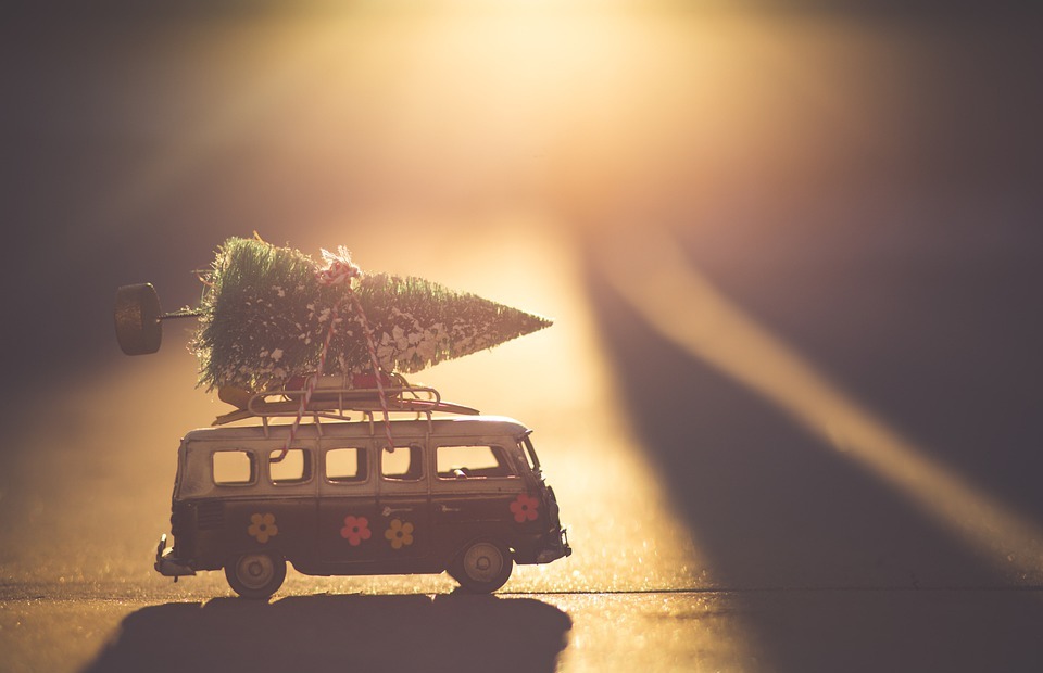 toy car, christmas tree, sunlight