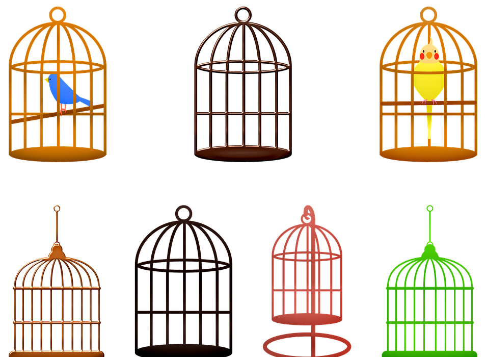 birdcage, birds, colorful