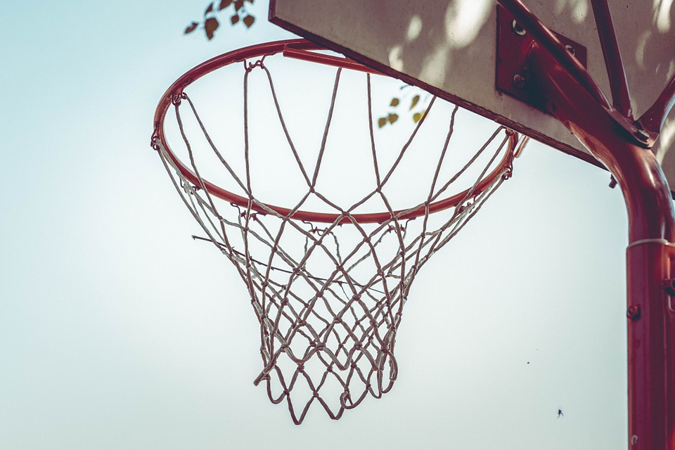 basketball hoop, basketball, network