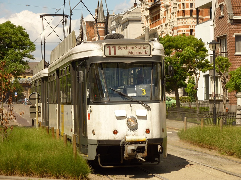 tram, transport, public transport