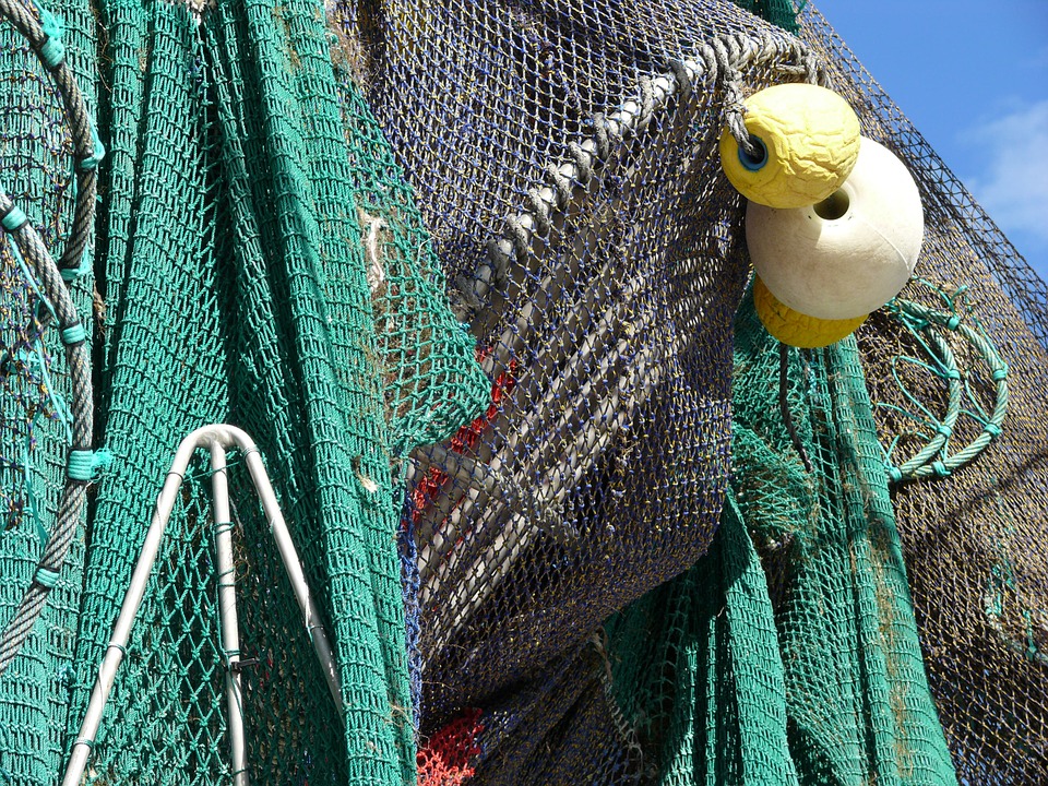 fishing net, fishing, net