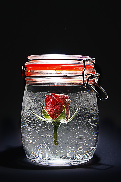 rose, red, jar
